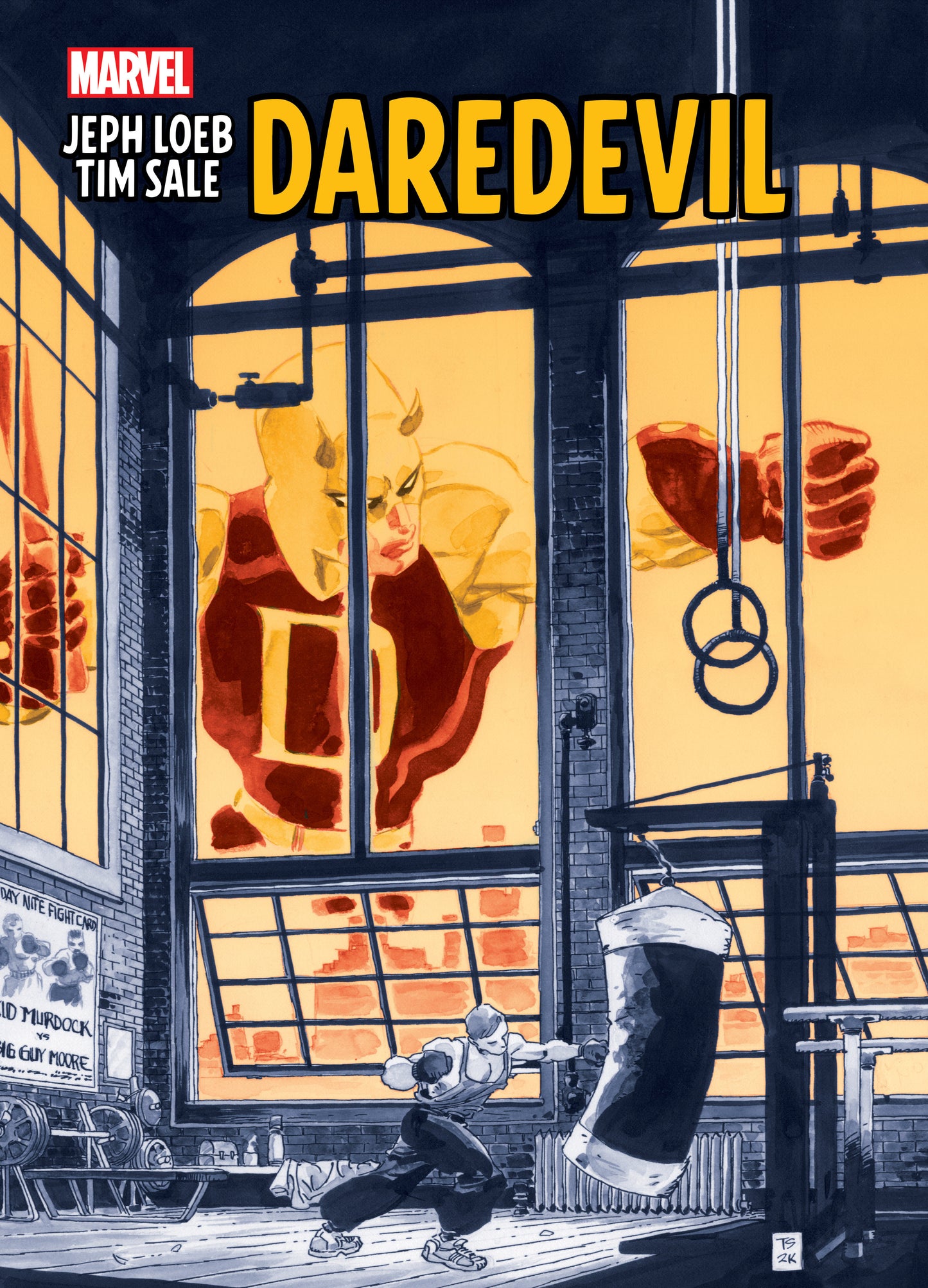 Daredevil by Jeph Loeb & Tim Sale Gallery Edition