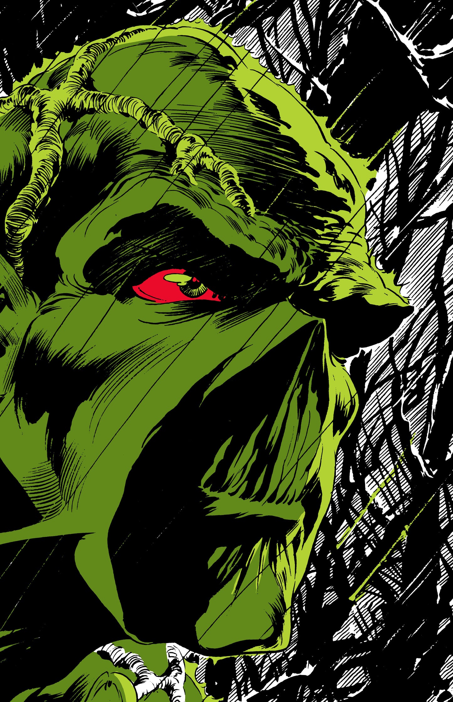 Absolute Swamp Thing by Len Wein and Bernie Wrightson